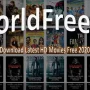 WorldFree4u 700MB Bollywood Movies 1024x576 1